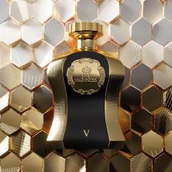 Afnan Highness V EDP kvepalai moterims, 100 ml