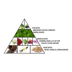 Al Haramain L'Aventure Gold EDP kvepalai moterims, 200 ml