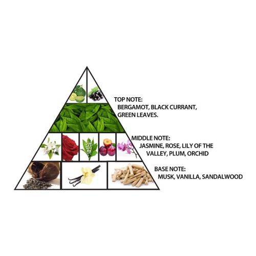 Al Haramain L'Aventure Gold EDP kvepalai moterims, 100 ml