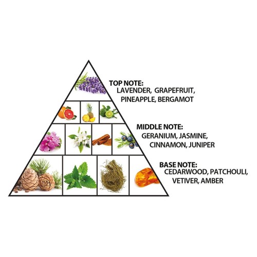 Al Haramain Loulou Noir EDP unisex kvepalai, 100 ml