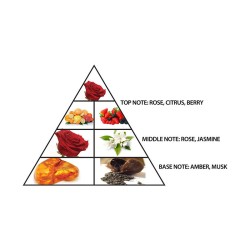 Al Haramain L'Aventure Rose EDP kvepalai moterims, 200 ml