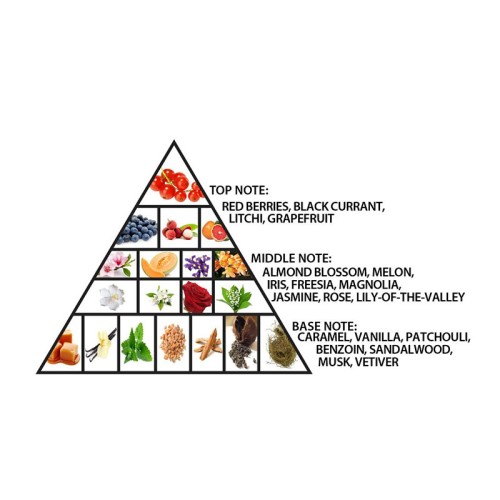 Al Haramain L'Aventure Grapefruit Parfum 100 ml kvepalai moterims