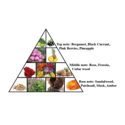 Al Haramain L'Aventure Femme EDP kvepalai moterims, 100 ml