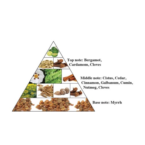 Al Haramain Portfolio Oriental Forest EDP kvepalai vyrams, 75 ml