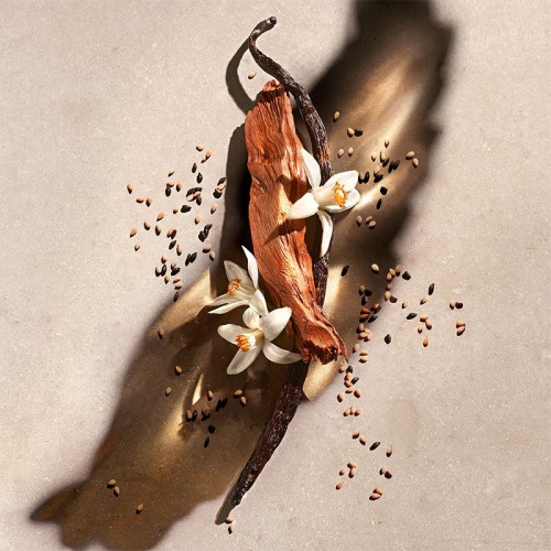 Zadig & Voltaire Zadig EDP kvepalai moterims, 90 ml