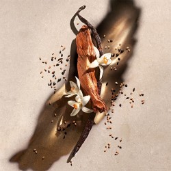 Zadig & Voltaire Zadig EDP kvepalai moterims, 50 ml