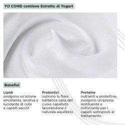 Kemon Yo Cond Color System Toning Cond - tonuojantis kondicionierius, 250 ml - Silver