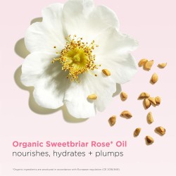 Clarins Lip Oil Balm - aliejinis lūpų balzamas, 2,9 ml - 05 Cherry