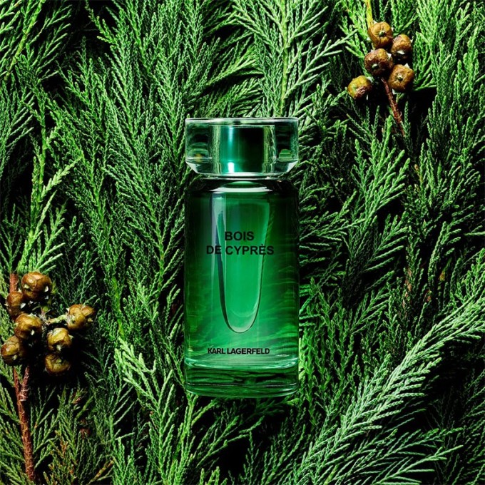 Lagerfeld Les Parfums Matieres Bois de Cypres EDT kvepalai vyrams, 50 ml