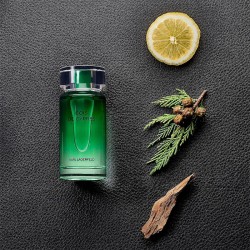 Lagerfeld Les Parfums Matieres Bois de Cypres EDT kvepalai vyrams, 100 ml