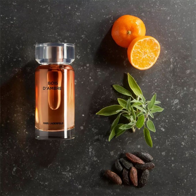 Lagerfeld Les Parfums Matieres Bois d´Ambre EDT kvepalai vyrams, 100 ml