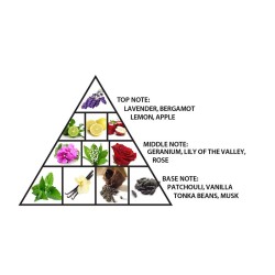 Al Haramain Palm Dubai Parfum unisex kvepalai, 100 ml