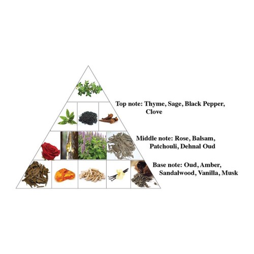 Al Haramain Golden Oud EDP kvepalai unisex, 100 ml