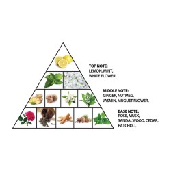 Al Haramain Musk Collection EDP unisex kvepalai, 100 ml