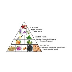 Al Haramain Detour Noir EDP unisex kvepalai, 100 ml