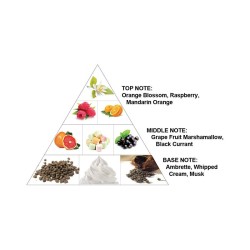 Al Haramain Destino French Collection EDP unisex kvepalai, 100 ml