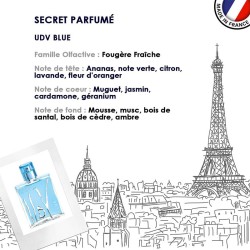 Ulric de Varens Blue For Him EDT kvepalai vyrams, 100 ml