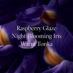 Victoria´s Secret Tease Candy Noir EDP kvepalai moterims, 100 ml