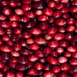 Ralph Lauren 2 Big Pony Pink for Women EDT kvepalai moterims, 50 ml