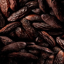 Ralph Lauren 2 Big Pony Pink for Women EDT kvepalai moterims, 100 ml