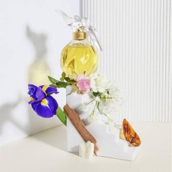 Nina Ricci L'Air du Temps EDP Tester kvepalai moterims, 100 ml