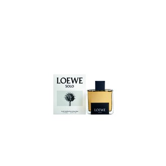 Loewe Solo EDT kvepalai vyrams, 100 ml