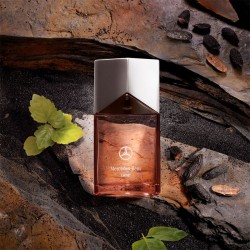 Mercedes Benz Land EDP kvepalai vyrams, 60 ml