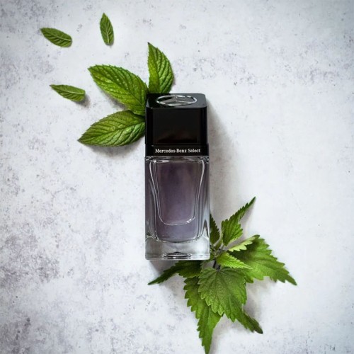 Mercedes Benz Select EDT kvepalai vyrams, 100 ml