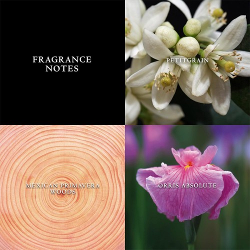 John Varvatos Artisan Pure EDT kvepalai vyrams, 125 ml