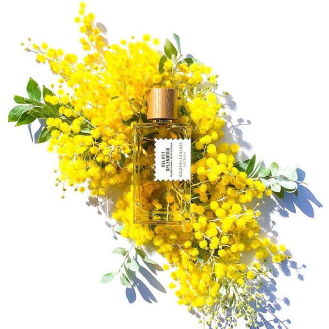 Goldfield & Banks Velvet Splendour Parfum unisex kvepalai, 100 ml