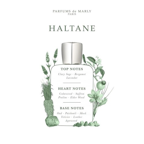 Parfums De Marly Haltane EDP kvepalai vyrams, 200 ml