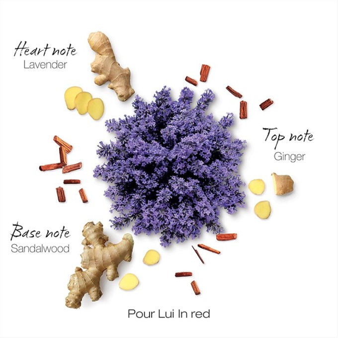 Mauboussin Pour Lui In Red EDP kvepalai vyrams, 100 ml