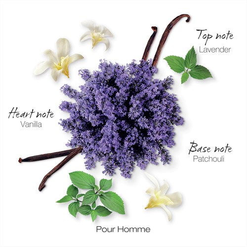 Mauboussin Homme EDP kvepalai vyrams, 100 ml