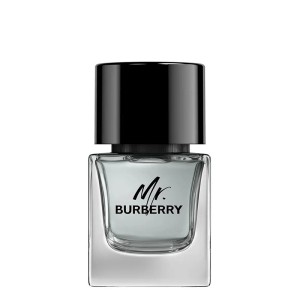 Burberry Mr. Burberry EDT kvepalai vyrams, 50 ml