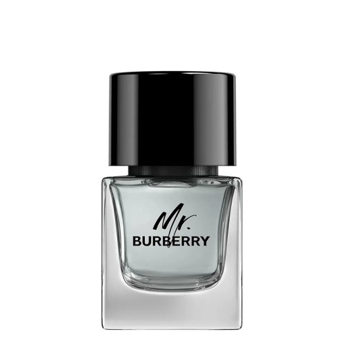 Burberry Mr. Burberry EDT kvepalai vyrams, 50 ml