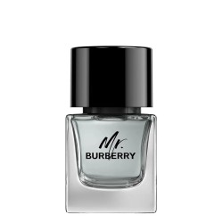 Burberry Mr. Burberry EDT kvepalai vyrams, 50 ml