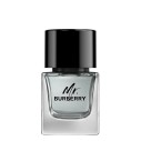 Burberry Mr. Burberry EDT kvepalai vyrams, 50 ml