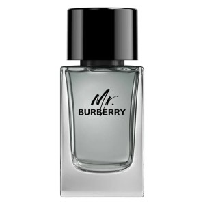 Burberry Mr. Burberry EDT kvepalai vyrams, 100 ml