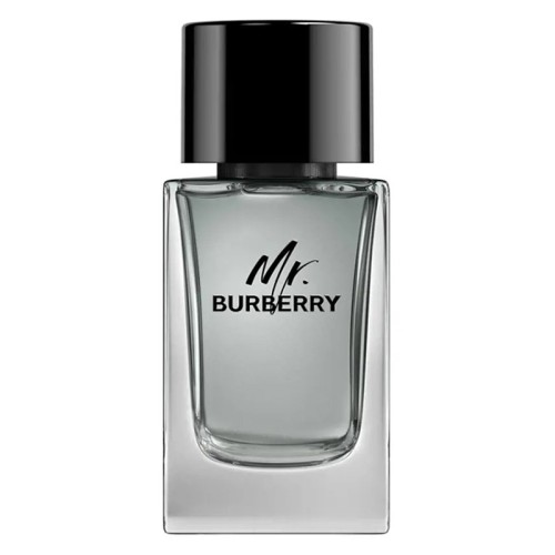 Burberry Mr. Burberry EDT kvepalai vyrams, 100 ml