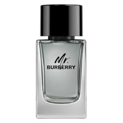 Burberry Mr. Burberry EDT kvepalai vyrams, 100 ml