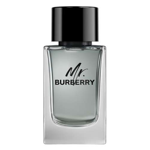 Burberry Mr. Burberry EDT kvepalai vyrams, 150 ml