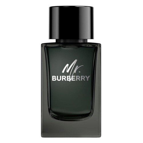 Burberry Mr. Burberry Eau de Parfum EDP kvepalai vyrams, 150 ml