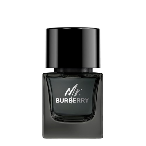 Burberry Mr. Burberry Eau de Parfum EDP kvepalai vyrams, 50 ml
