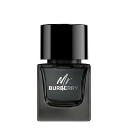 Burberry Mr. Burberry Eau de Parfum EDP kvepalai vyrams, 50 ml