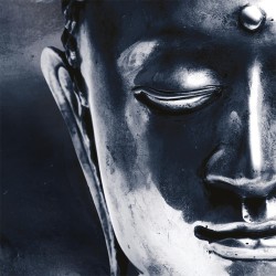 Xerjoff Join the Club Shunkoin EDP unisex kvepalai, 50 ml