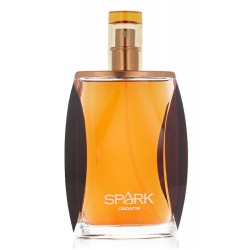 Liz Claiborne Spark for Men EDC odekalonas vyrams, 100 ml