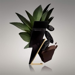 Carolina Herrera Bad Boy EDT kvepalai vyrams, 100 ml