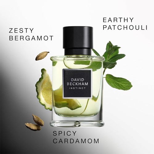 David Beckham Instinct EDP kvepalai vyrams, 75 ml