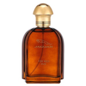 Jaguar Oud For Men EDP kvepalai vyrams, 100 ml