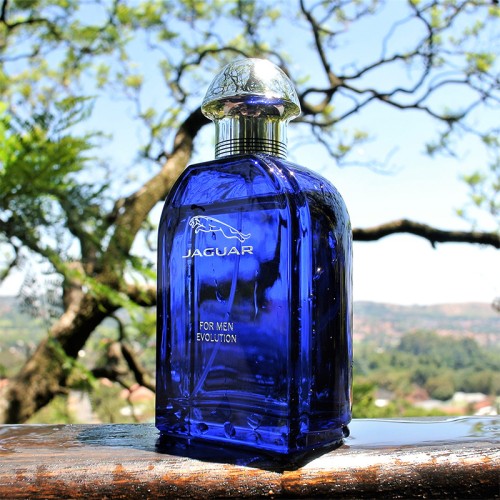 Jaguar Evolution EDT kvepalai vyrams, 100 ml